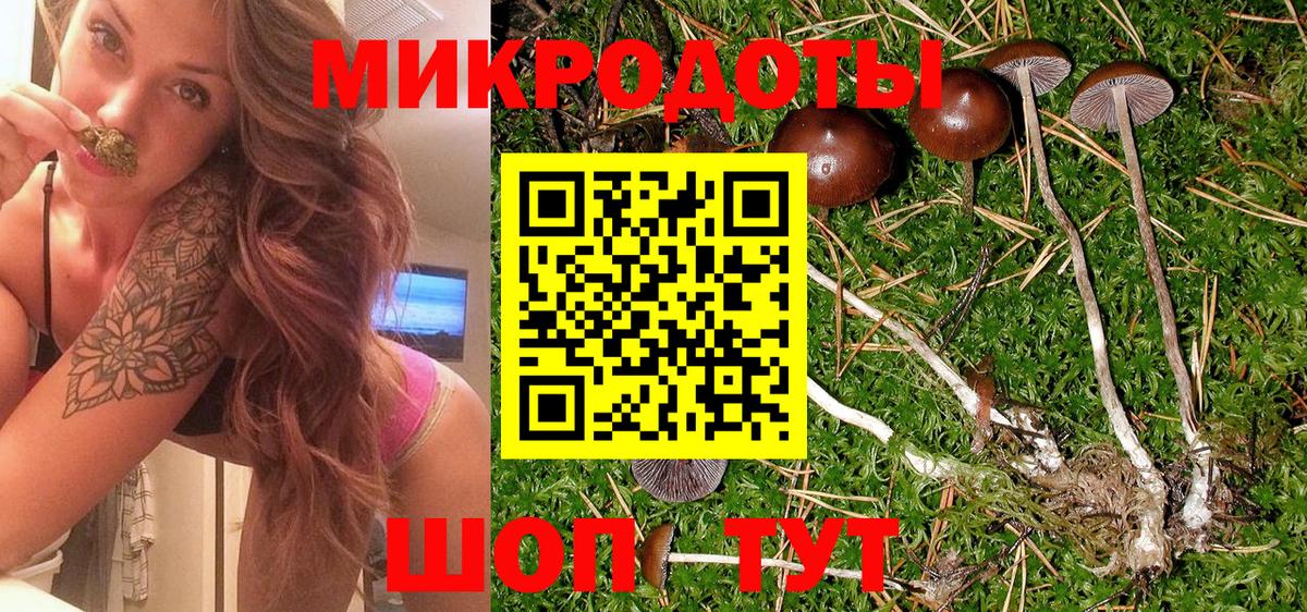 Галлюциногенные грибы Psilocybe  Вход с VPN  Якутск 